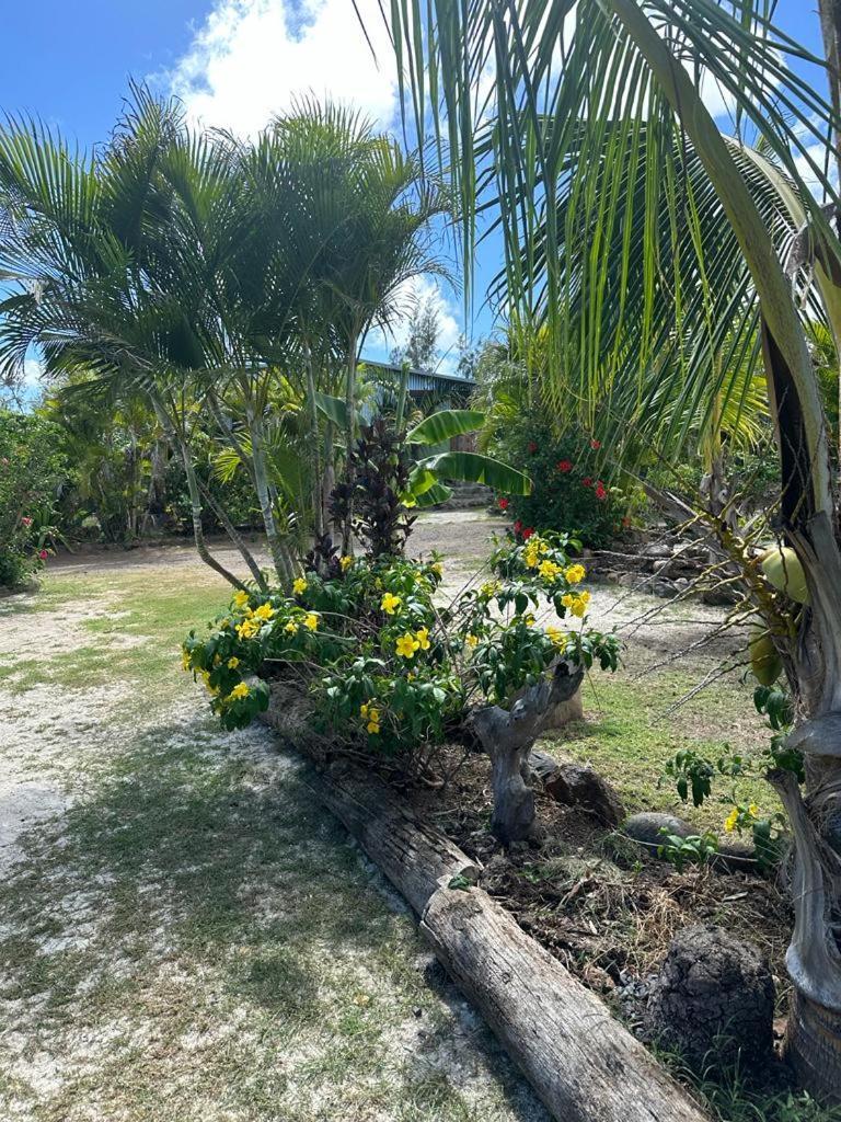 Lily Pad Lodge Bambou Buitenkant foto