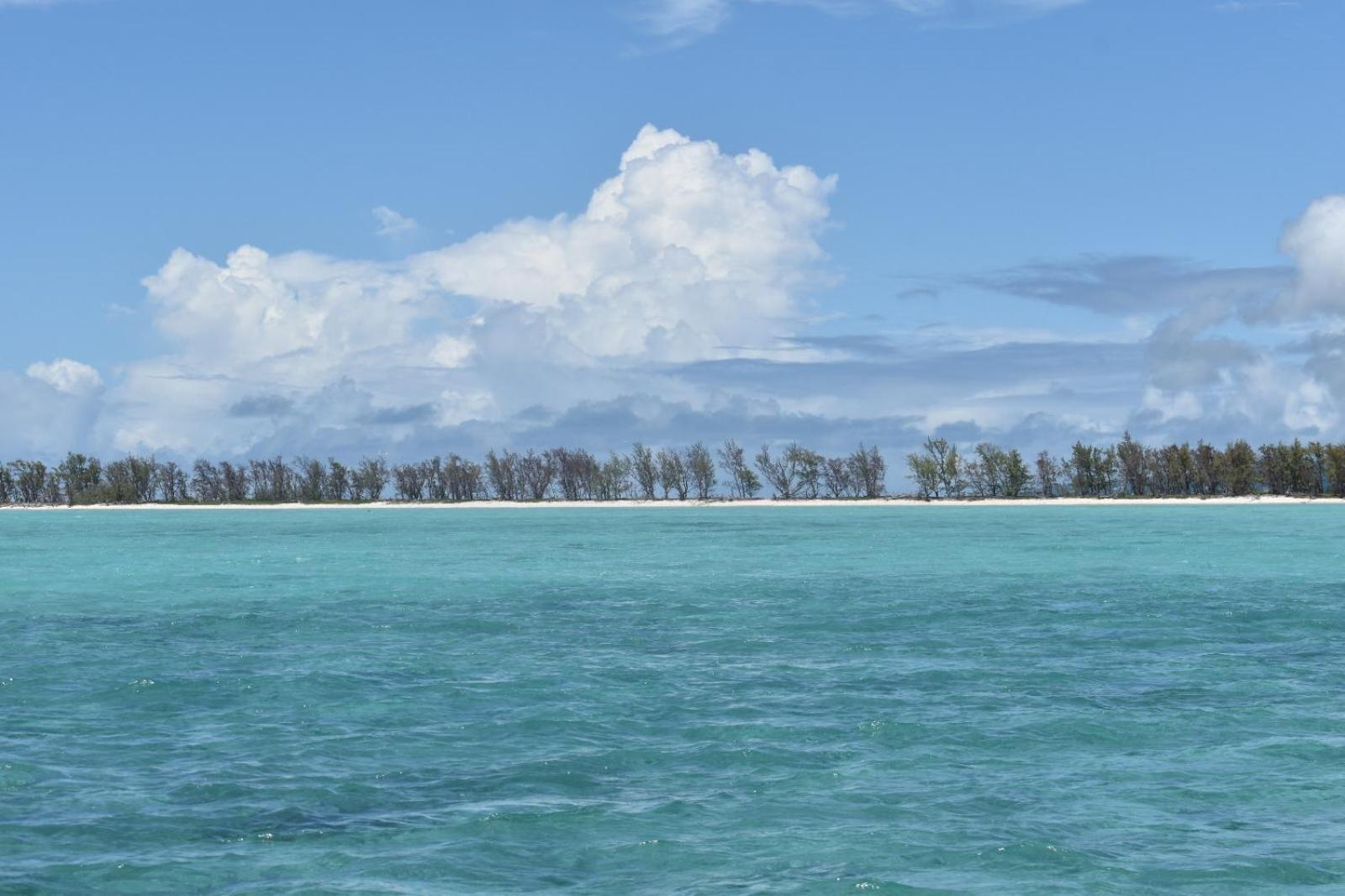 Lily Pad Lodge Bambou Buitenkant foto