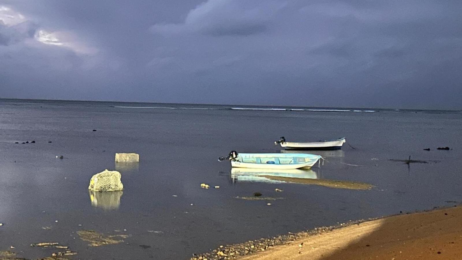 Lily Pad Lodge Bambou Buitenkant foto